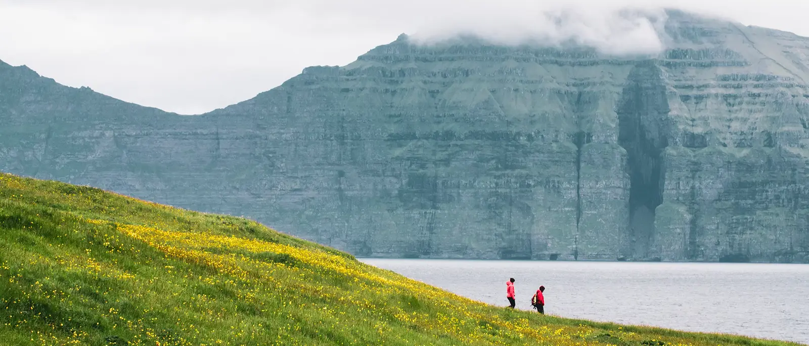 Betri Samfelagstilvit