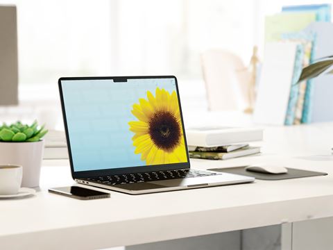 Sólblómuteldupostur